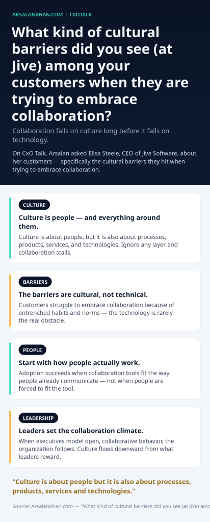 Infographic: What kind of cultural barriers did you see (at Jive) among your customers when they are trying to embrace collaboration?