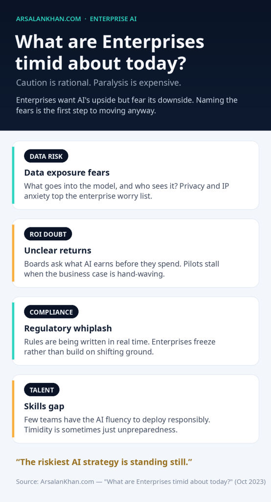 Infographic: What are Enterprises timid about today?